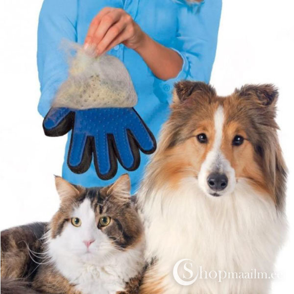 Перчатка для вычесывания шерсти (для собак и кошек) 