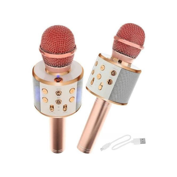 Karaoke mikrofon 