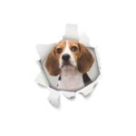 Dekoratiivkleebis 3D dog sticker 5
