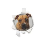 Dekoratiivkleebis 3D dog sticker 6