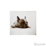 Dekoratiivkleebis 3d dog sticker 7