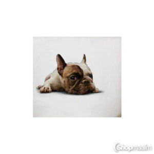 Dekoratiivkleebis 3d dog sticker 7