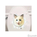 Dekoratiivkleebis 3d cat sticker 5