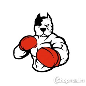 Kleeps Boxing dog