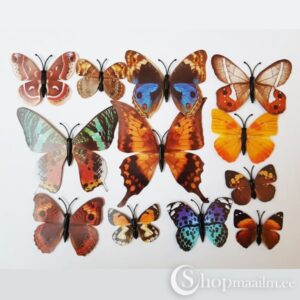 3D liblikad Brown butterflies
