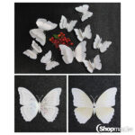 Liblikad Double butterflies white