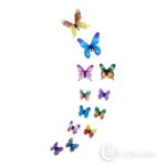 Liblikad Multicolor butterflies