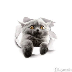Dekoratiivkleebis Grey cat sticker 2