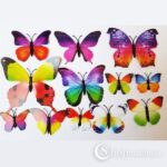 3D liblikad Multicolor butterflies 3