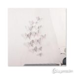 Liblikad Silver butterflies 5