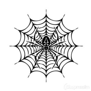 Autokleeps Spiderweb car sticker black