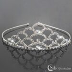 Diadeem Zinnia