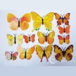 3D liblikad Butterflies set orange