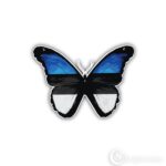Kleeps Est butterfly