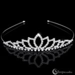 Diadeem Fleur
