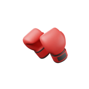 Poks ja MMA