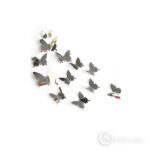 Peegeldavad liblikad Silver mirror butterflies