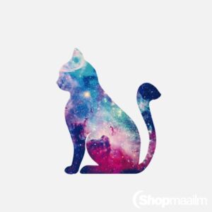 Autokleeps Space cat