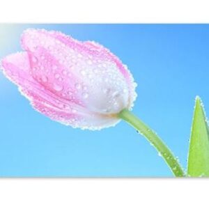 Teemanditikand / mosaiik-pilt 5D tulip
