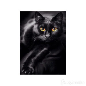 Teemanditikand / mosaiik-pilt 5d black cat 2