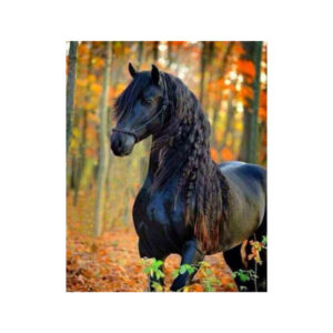 Teemanditikand / mosaiik-pilt 5d black horse 2