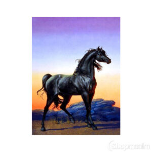 Teemanditikand / mosaiik-pilt 5d black pretty horse