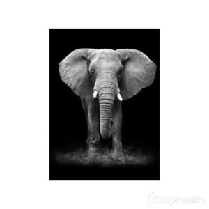 Teemanditikand / mosaiik-pilt 5d black white elephant