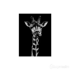 Teemanditikand / mosaiik-pilt 5d black white giraffe