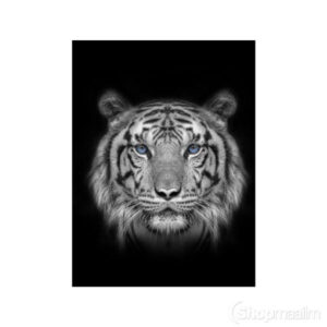 Teemanditikand / mosaiik-pilt 5d black white lion
