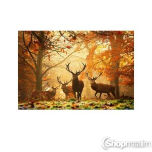 Teemanditikand / mosaiik-pilt 5D deers 2