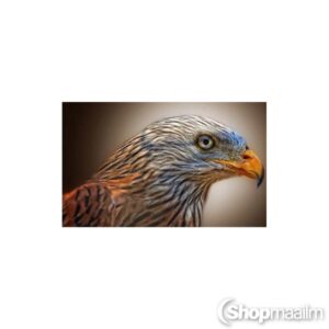 Teemanditikand / mosaiik-pilt 5D eagle 2