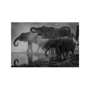 Teemanditikand / mosaiik-pilt 5d elephants 50 x 40 cm 2