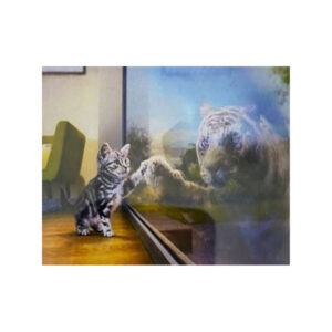 Teemanditikand / mosaiik-pilt 5d grey cat HS