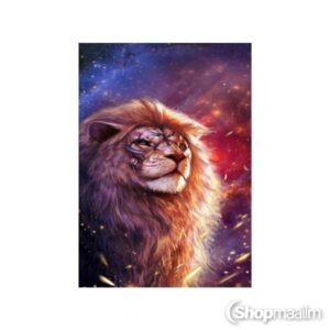 Teemanditikand / mosaiik-pilt 5D lion king 2