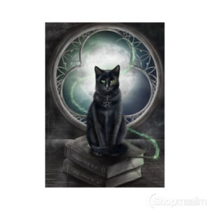 Teemanditikand / mosaiik-pilt 5d magic cat 2