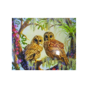 Teemanditikand / mosaiik-pilt 5d owls HS