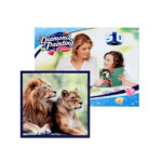 Teemanditikand raami peal 5d painting lions