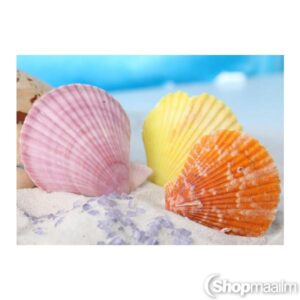 Teemanditikand / mosaiik-pilt 5D shells
