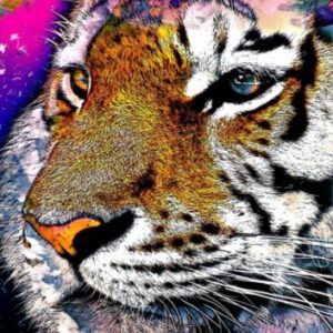 Teemanditikand / mosaiik-pilt 5d tiger 2 40*50 cm ML