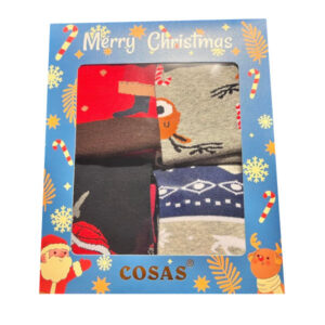 Sokkide komplekt Christmas Socks Gift Box 39-42