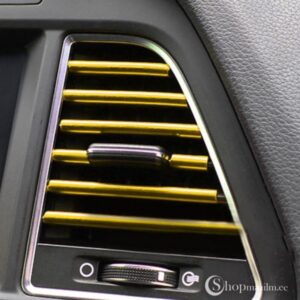 Molding Chrome trim gold 2