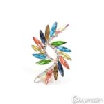 Pross Colorful brooch