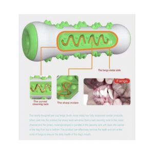 Mänguasi - hambahari Dog toy green