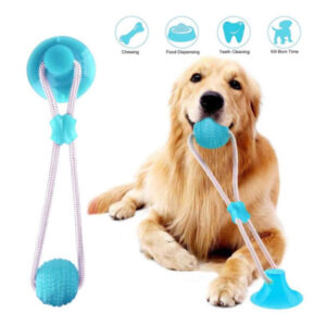 Mänguasi koertele Dog toy with suction cup