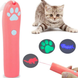 Laser Laser for cat