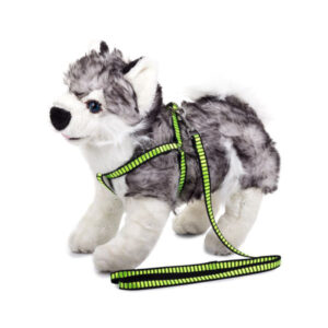 Traksid jalutusrihmaga Leash with harness 1.5 cm
