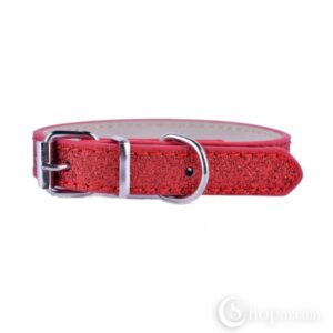 Kaelarihm Red pet collar 2