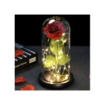 Roos klaasis, valgustatud Rose in glass - glowing