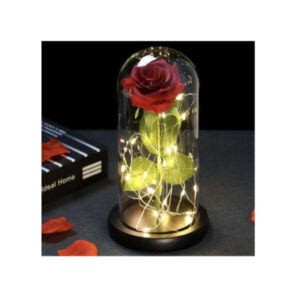 Roos klaasis, valgustatud Rose in glass - glowing