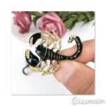 Pross Scorpio brooch 2